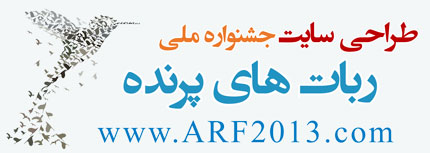  طراحی سایت جشنواره ملی ربات های پرنده